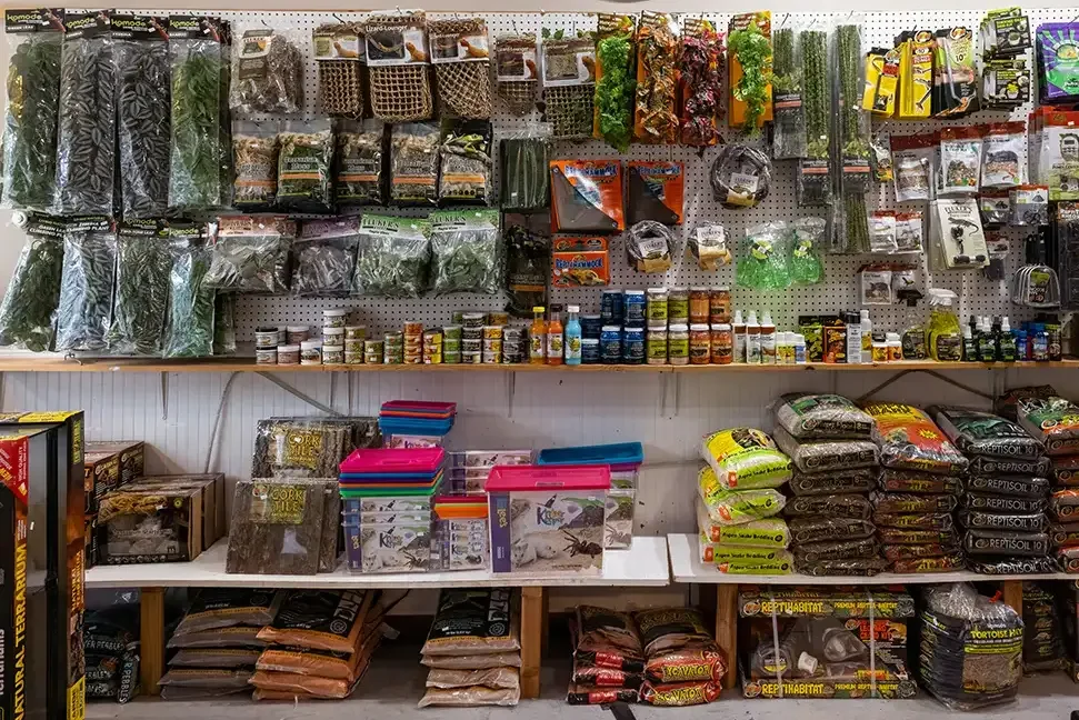 Hewitt Reptile Emporium, business photo 4