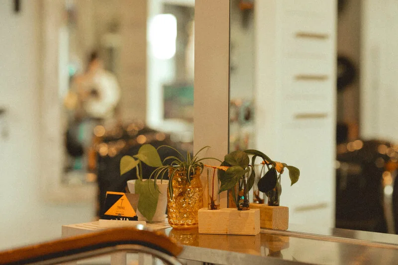 Trend Hair Society, business photo 4
